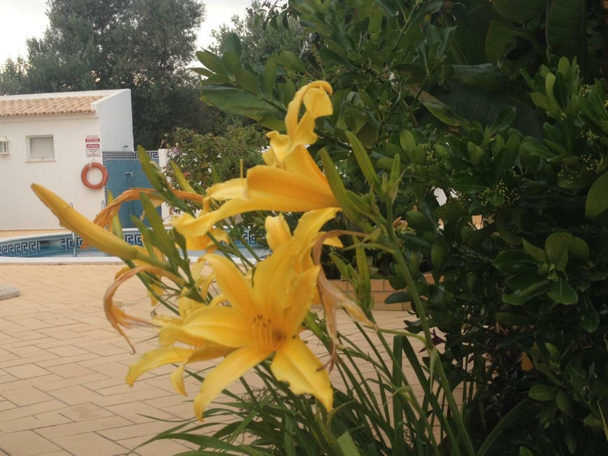 אלבופיירה Vilabranco מראה חיצוני תמונה